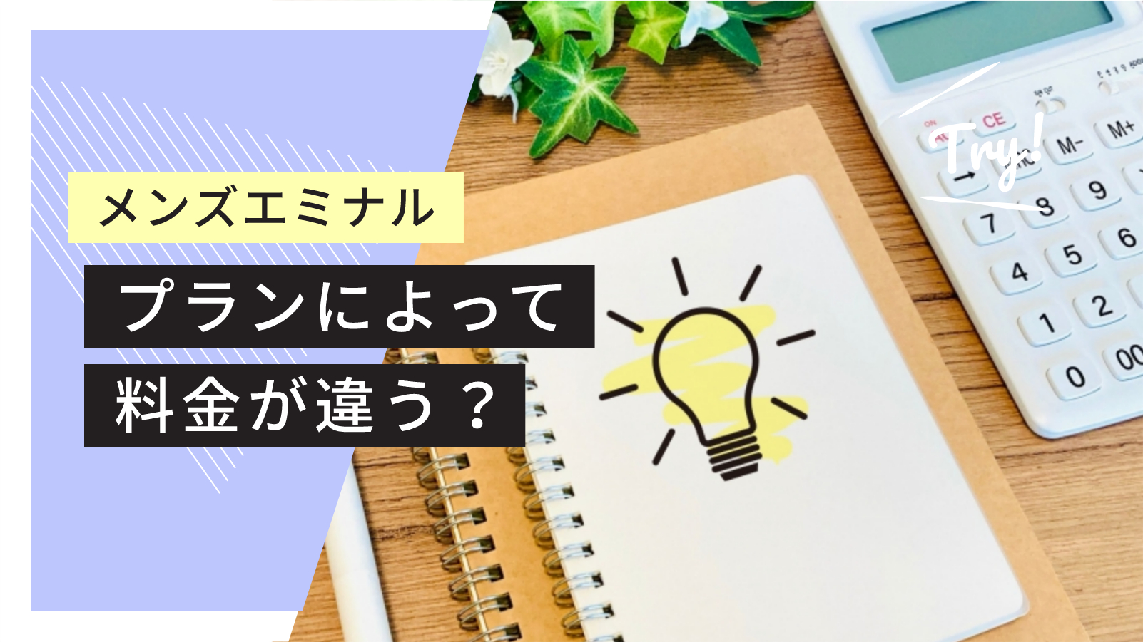 メンズエミナル料金違う